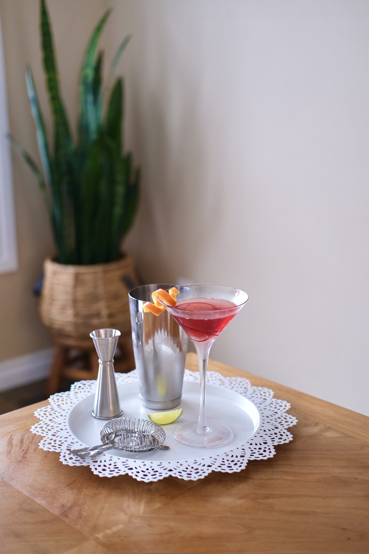 Provincial Cosmopolitan